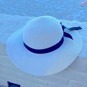 Modern hen for the beach